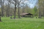 Sharon Woods Metro Park picnic grove